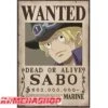 Affiche Wanted Sabo