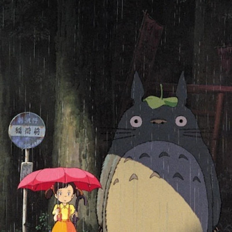 Mon Voisin Totoro - Puzzle Totoro Model B